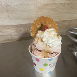 Cactus 24 Treats And More