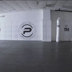 Prolific Brazilian Jiu Jitsu