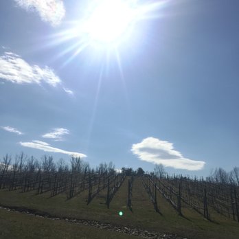 Potomac Point Winery - Wineries Near Me - Stafford, Virginia