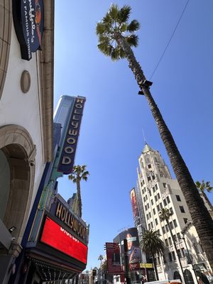 Hollywood Walk of Fame by null