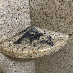 Holiday Inn Clinton - Bridgewater - Bathroom mold.