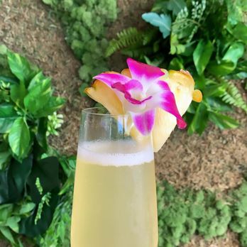 Deck. - Pineapple mimosa! - Hawaiian Near Me - Honolulu, Hawaii Deck. - Pineapple mimosa! - Hawaiian Near Me - Honolulu, Hawaii