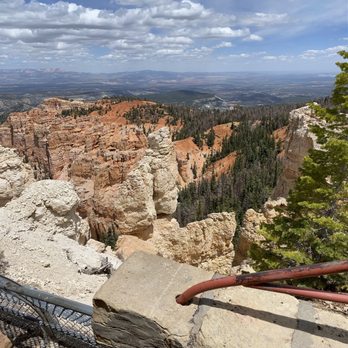 Rainbow Point - 05.23.20 This kind of forest makes good habitat for grouse, woodpeckers, owls, and a variety of squirrels and chipmunks - Landmarks & Historical Buildings Near Me - Bryce, Utah