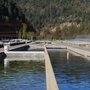 Photo of Trinity Power Plant