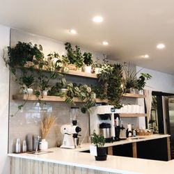 Gold Cup Coffee House - Plants of course