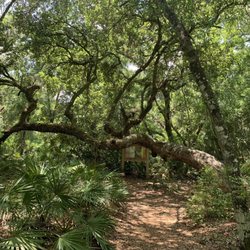 Lake Griffin State Park