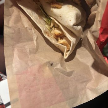 Wendy's - Fruit flies - Fast Food Near Me - Burbank, California Wendy's - Fruit flies - Fast Food Near Me - Burbank, California