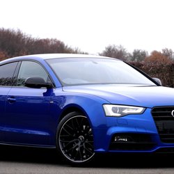 Absolutely Mint Auto Detailing