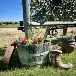Dunrovin Ranch