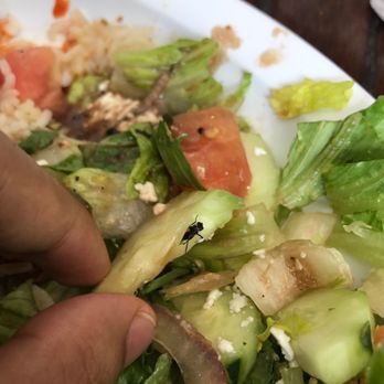 Agora Midtown - Protein in my Greek Salad - Mediterranean Near Me - Atlanta, Georgia