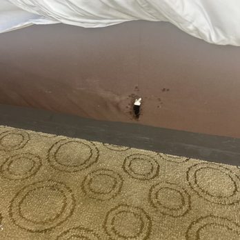 Flamingo Las Vegas - Tears and rips all Over the room - Hotels Near Me - Las Vegas, Nevada