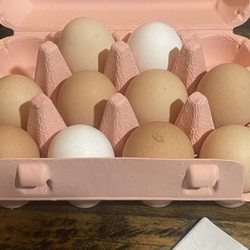Parrish Mountain Retreat - You won't find eggs any fresher than these!
