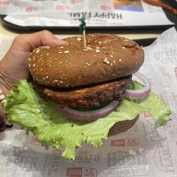 Habit Burger & Grill - Veggie Burger - Burgers Near Me - Glendale, Arizona Habit Burger & Grill - Veggie Burger - Burgers Near Me - Glendale, Arizona