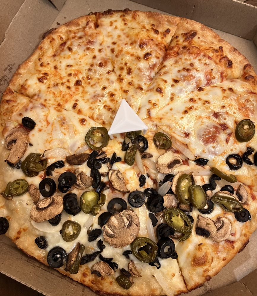 Domino's Pizza Logo