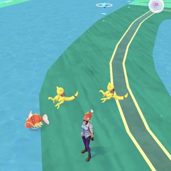 Miller Regional Park - Magikarp was having a great time too - Parks Near Me - Sacramento, California