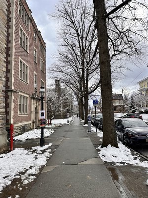 Princeton University by null