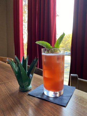 Tortuga y Chango by null