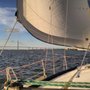 Charleston Marine Survey