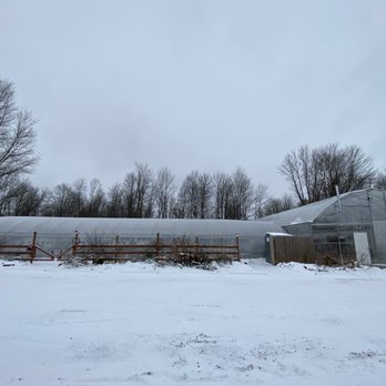 Groovy Plants Ranch - Nurseries & Gardening Near Me - Marengo, Ohio