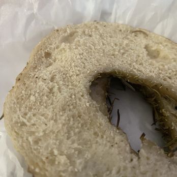 William Hoyt Bagel & Brew - "Toasted" ???? Bagel - Coffee & Tea Near Me - Temple, Texas William Hoyt Bagel & Brew - "Toasted" ???? Bagel - Coffee & Tea Near Me - Temple, Texas