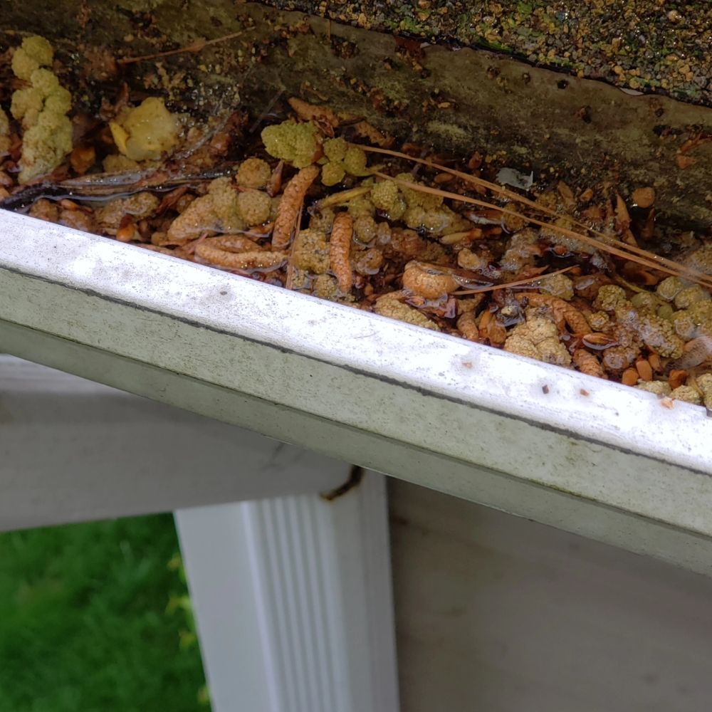 Slide of Mastercraft Services