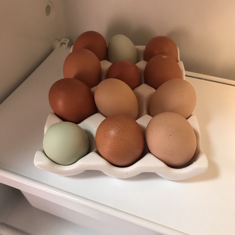 Rêves de Moutons - Fresh eggs for breakfast! - Bed & Breakfast Near Me - Paso Robles, California Rêves de Moutons - Fresh eggs for breakfast! - Bed & Breakfast Near Me - Paso Robles, California