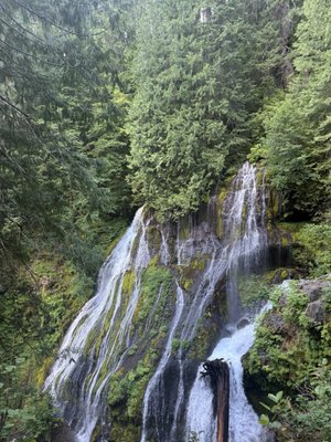 Panther Creek Falls by null