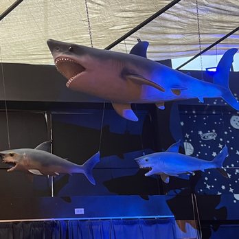 Boil Bay - Decor - Seafood Near Me - Virginia Beach, Virginia