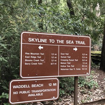 Big Basin Redwoods State Park - Parks Near Me - Boulder Creek, California