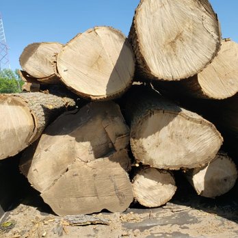 Adrian's Tree Service - Tree Services Near Me - Walled Lake, Michigan Adrian's Tree Service - Tree Services Near Me - Walled Lake, Michigan