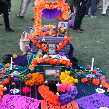 Harrison Park - Offerings - Parks Near Me - Chicago, Illinois
