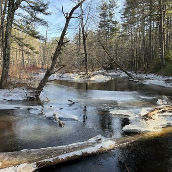 Bear Brook State Park - Icy Brook. - Parks Near Me - Allenstown, New Hampshire