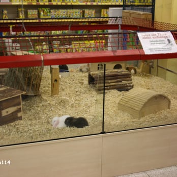 Das Futterhaus - Meerschweinchen - Pet Stores Near Me - Laatzen, NI Das Futterhaus - Meerschweinchen - Pet Stores Near Me - Laatzen, NI
