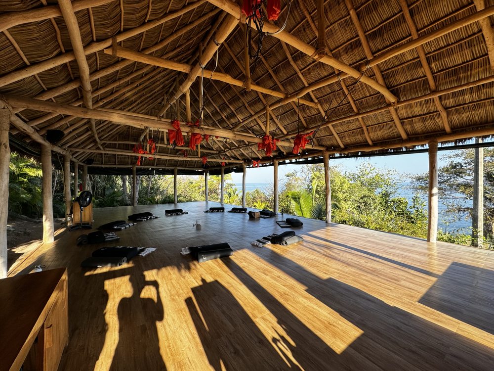 Yoga With Sophia Logo