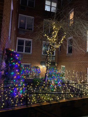 Fort Hamilton by null