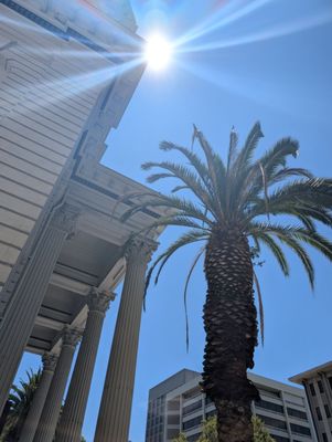 Cathedral Basilica of St. Joseph by null