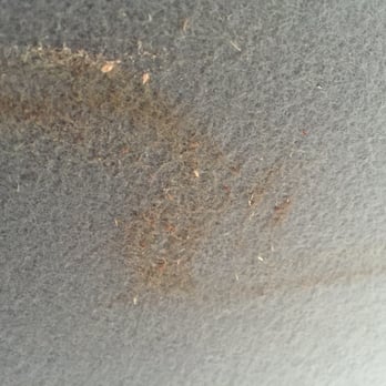 Park'n Fly Valet Parking - Secure and safe they said , gouged out ceiling and smelly brown stain ! - Parking Near Me - Richmond, British Columbia