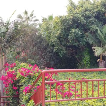 Jardines Baja - Hotels Near Me - Baja California, BCN Jardines Baja - Hotels Near Me - Baja California, BCN