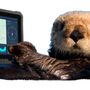 Photo of Cambria Computing