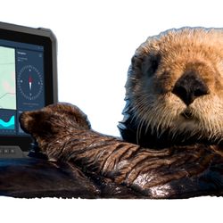 Cambria Computing