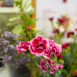 Edgewood Flowers