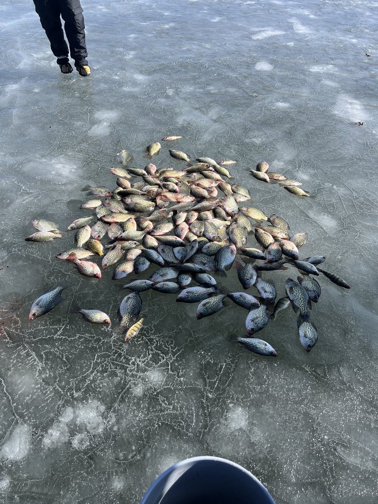 Big B's Guide Service Logo