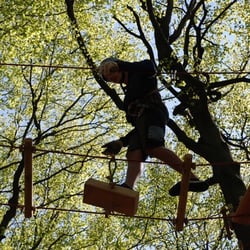 Kletterwald - Hoherodskopf
