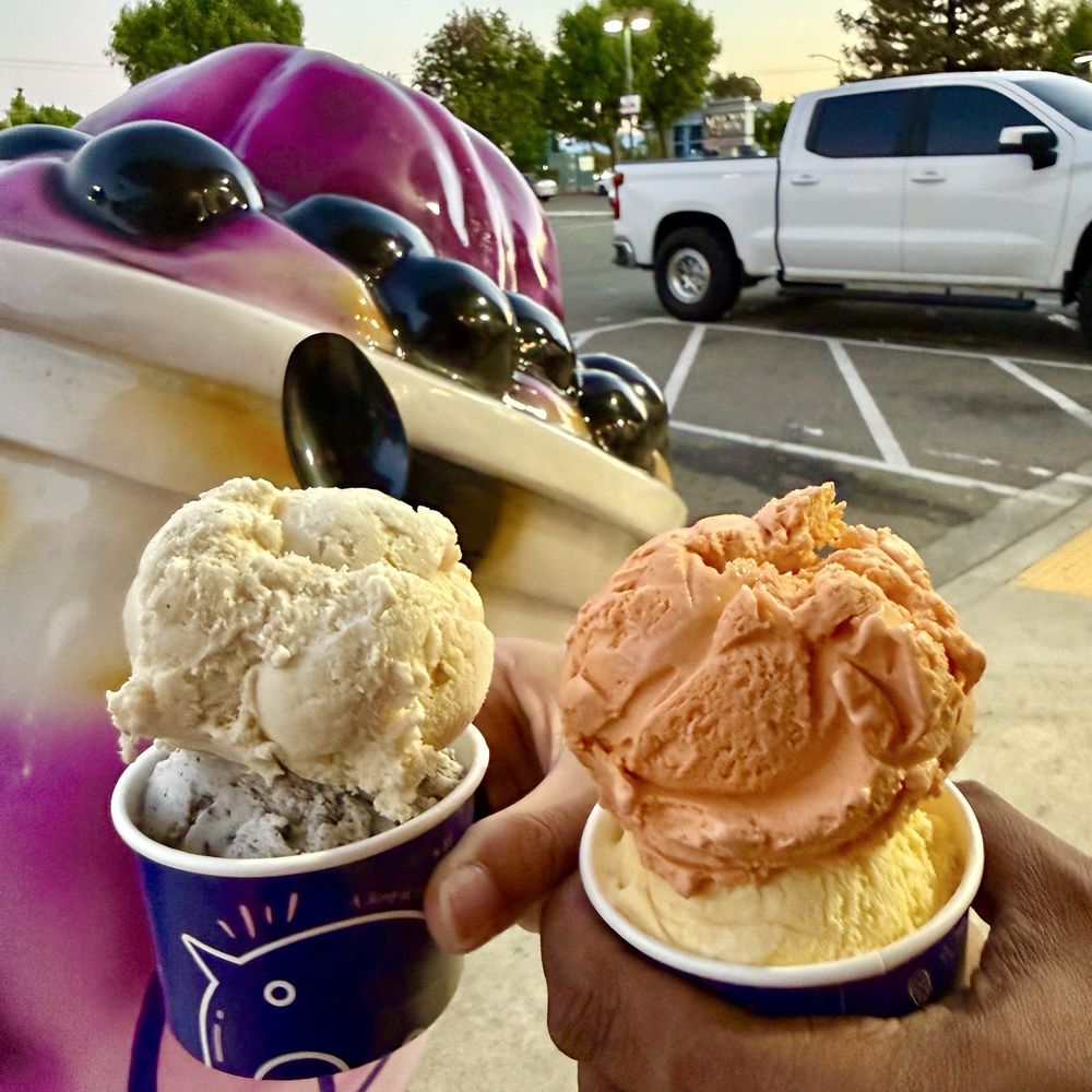 Smoove Ice Cream - Ice Cream & Frozen Yogurt Near Me - Milpitas, California