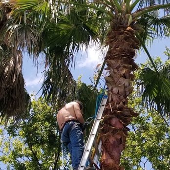 Texas Sun Tree Services - Tree Services Near Me - San Antonio, Texas