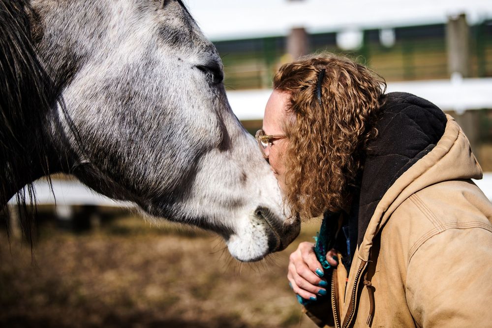 Ride With Faith - equestrian in Auburn, IN