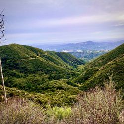 Mt Lowe