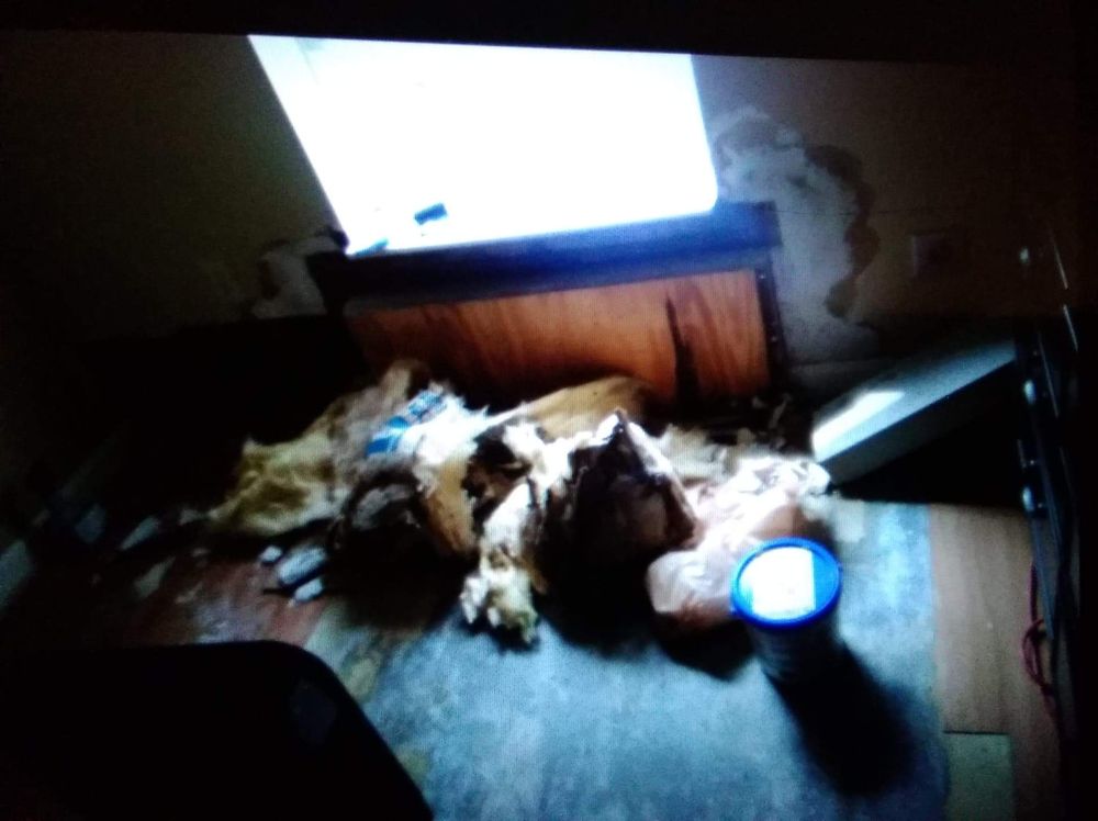 BEACON PROPERTIES Updated September 2024 1244 S 4th St, Louisville