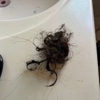 Western Rooter - This "monster" was deep in the shower drain and the reason the water would not go down. - Plumbing Near Me - Arcadia, California Western Rooter - This "monster" was deep in the shower drain and the reason the water would not go down. - Plumbing Near Me - Arcadia, California