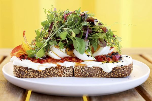 Monica Café by null